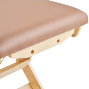 Массажный стол стационарный Mizomed Boast-Tilt SBT1S30