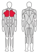 Тренажер для мышц груди и задних дельт Fitex FTX-6209